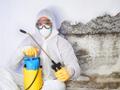 Услуги дезинфекции Челябинск
